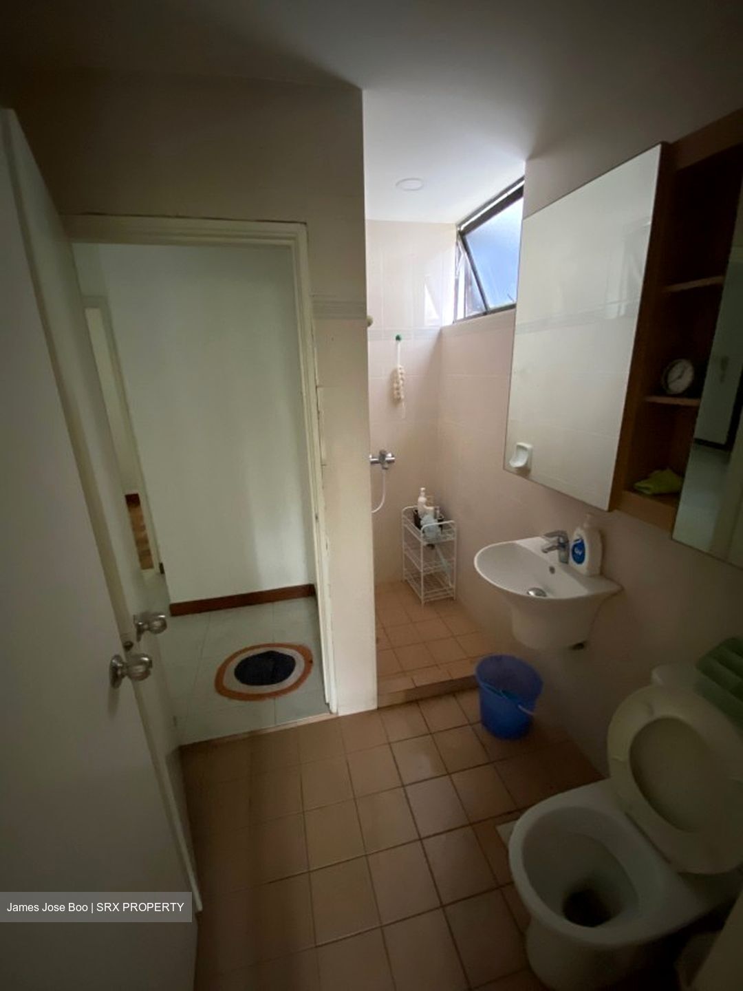 Newton Lodge (D11), Apartment #595701871